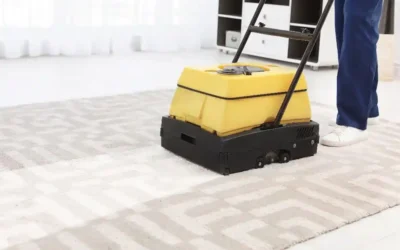 Halı Koltuk Yıkamada Yapılan Yanlışlar